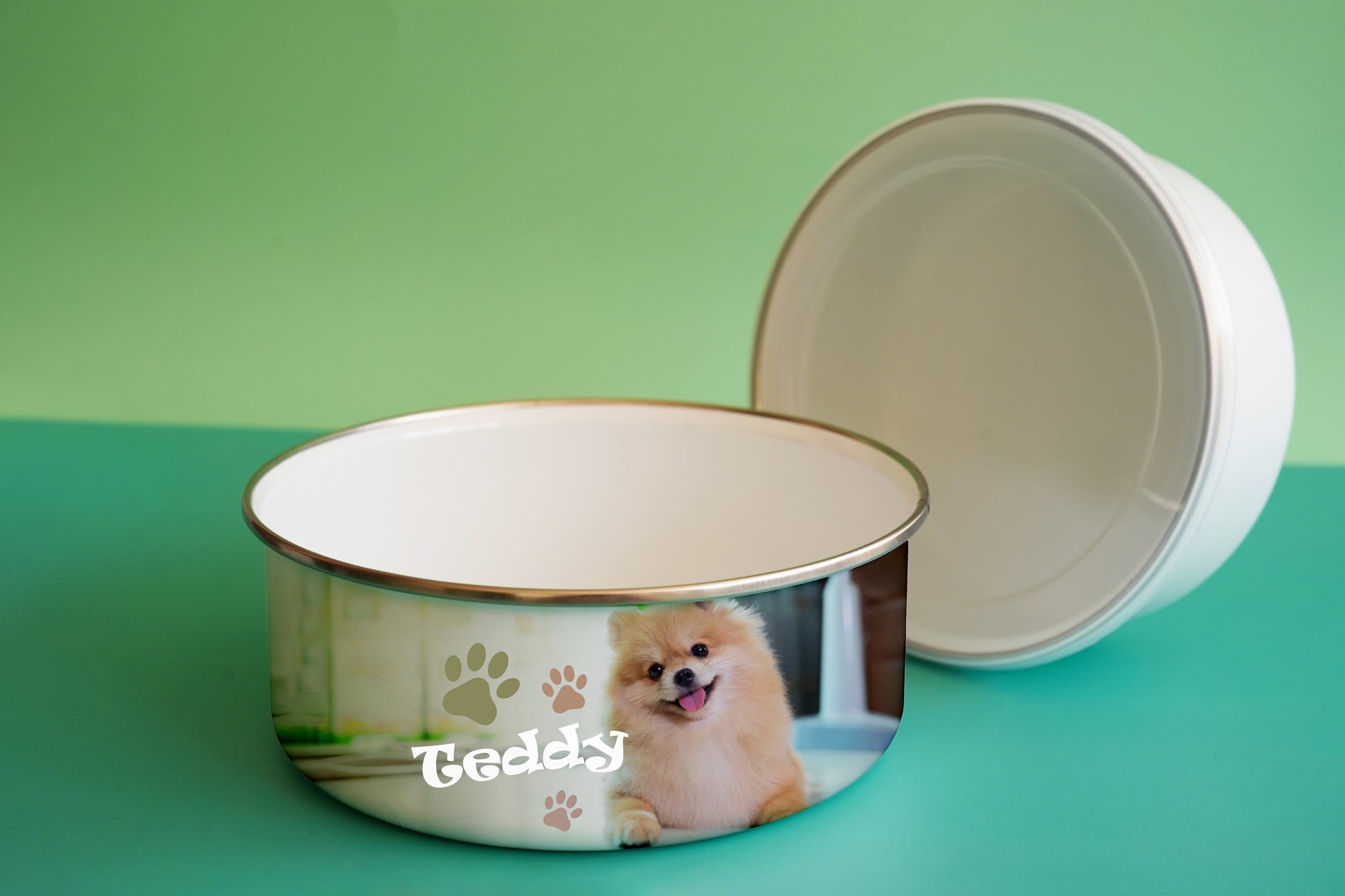 Ciotola per cani